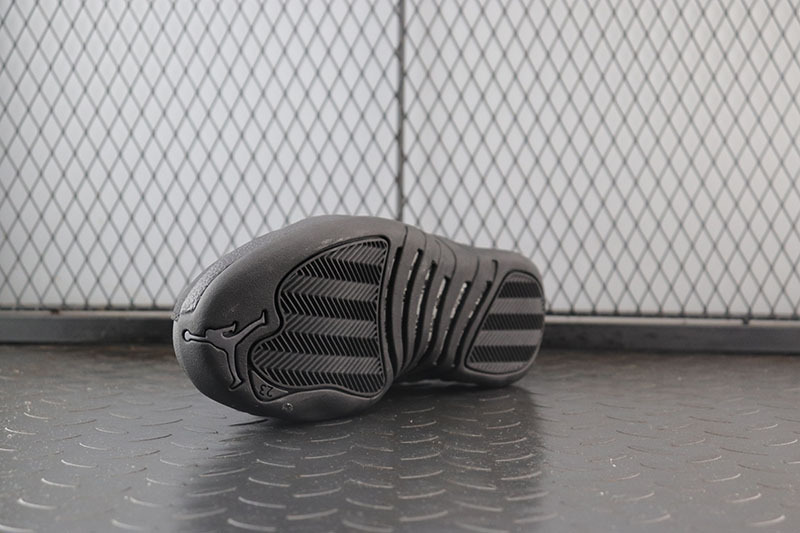 Air Jordan 12 Winterized
