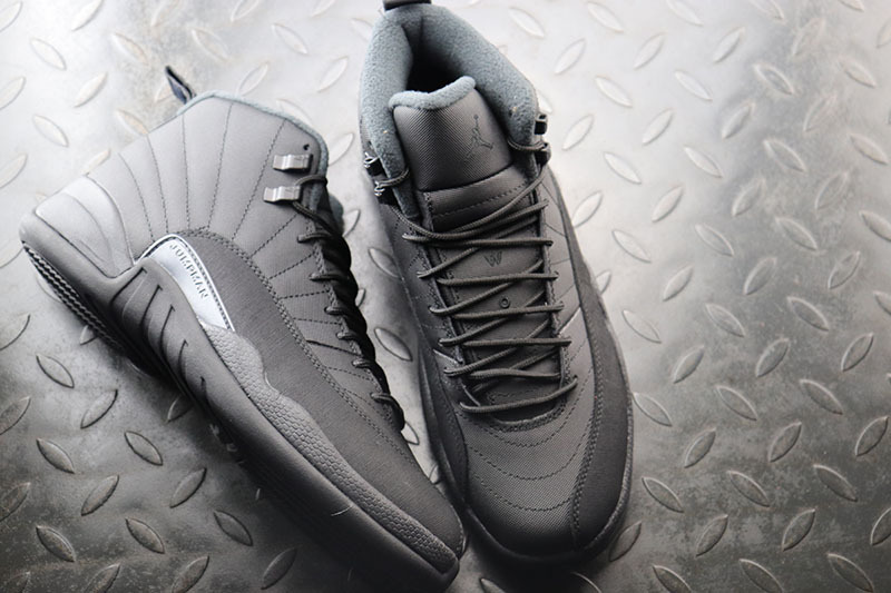 Air Jordan 12 Winterized