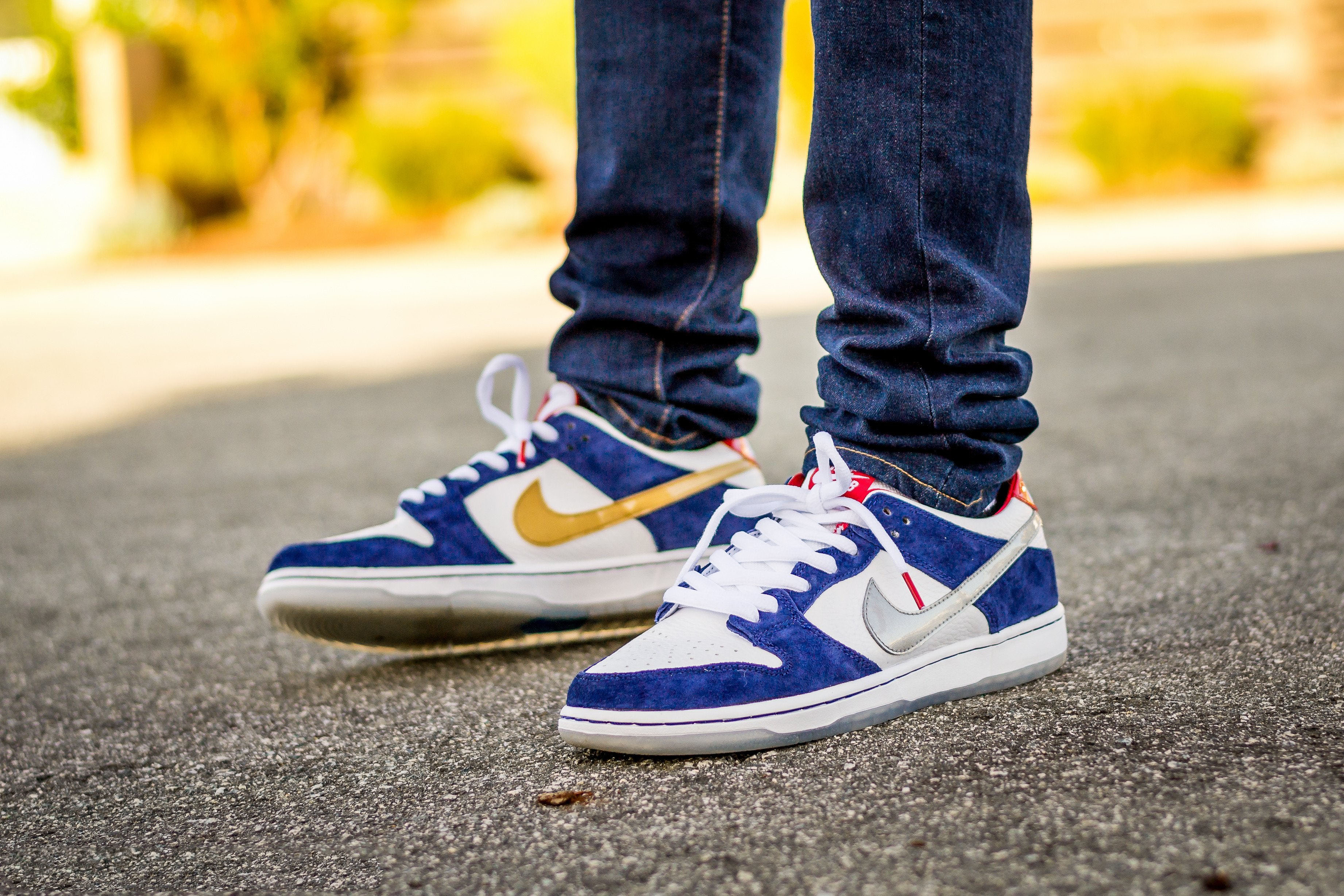 Nike Dunk SB Low Ishod Wair  BMW