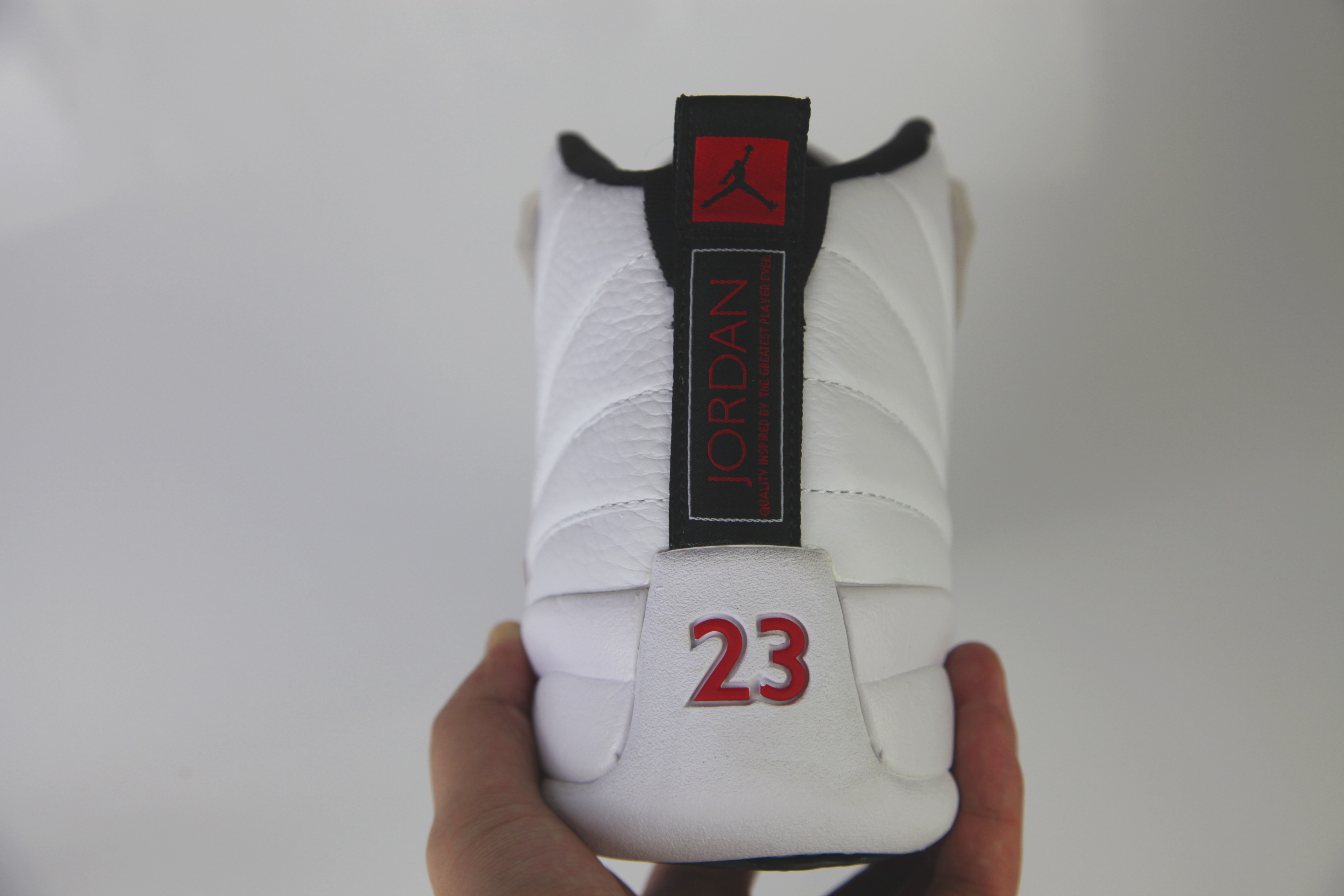 Jordan 12 Twist
