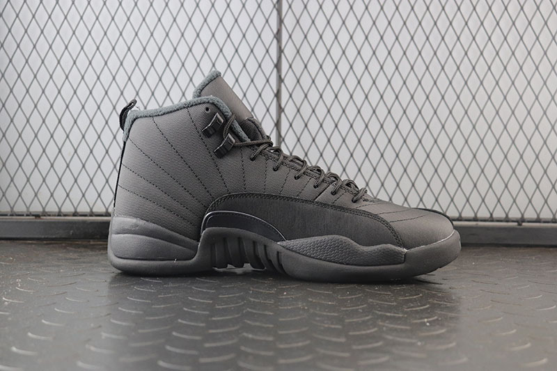 Air Jordan 12 Winterized