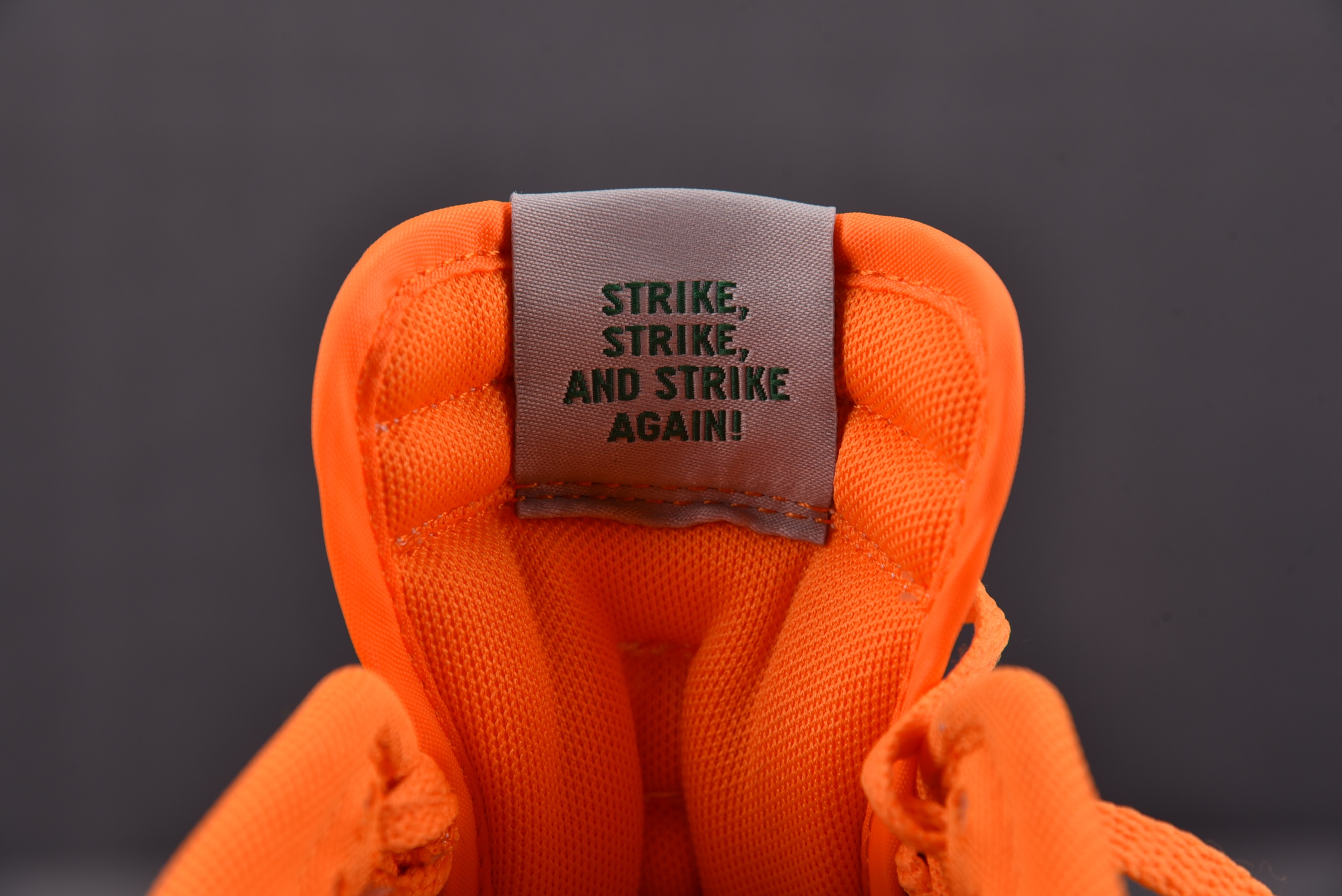 Nike Dunk Low Florida A&M University