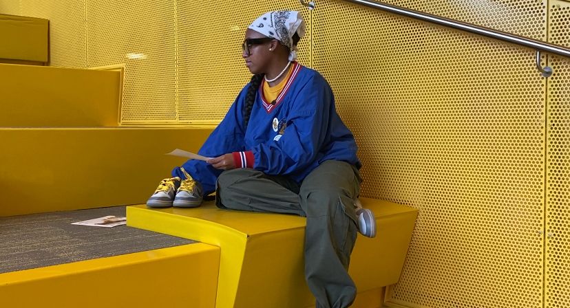 Nike Dunk Low North Carolina A&T