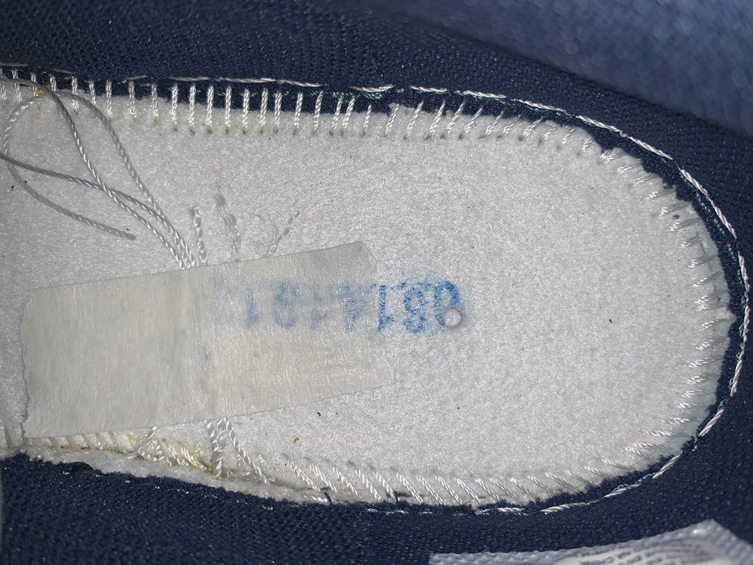 Nike Dunk Low   Michigan