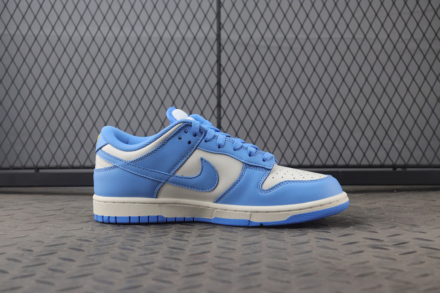 Nike Dunk Low Coast (Women Size!!)