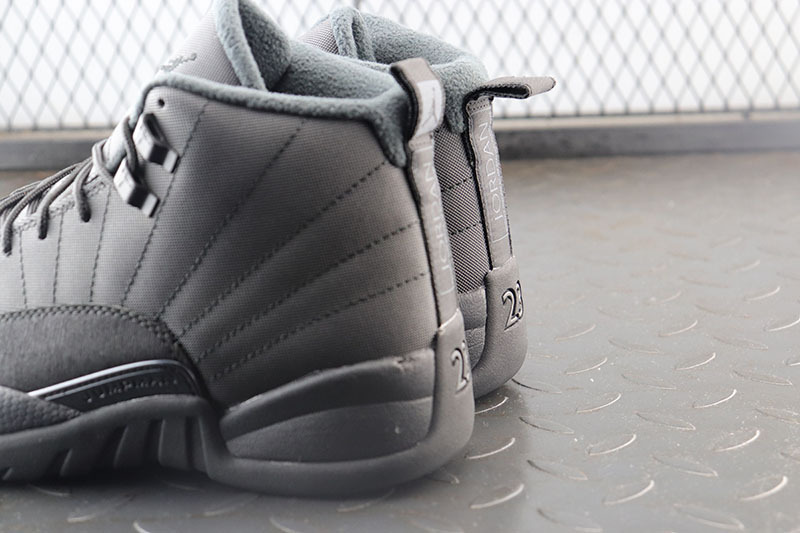 Air Jordan 12 Winterized