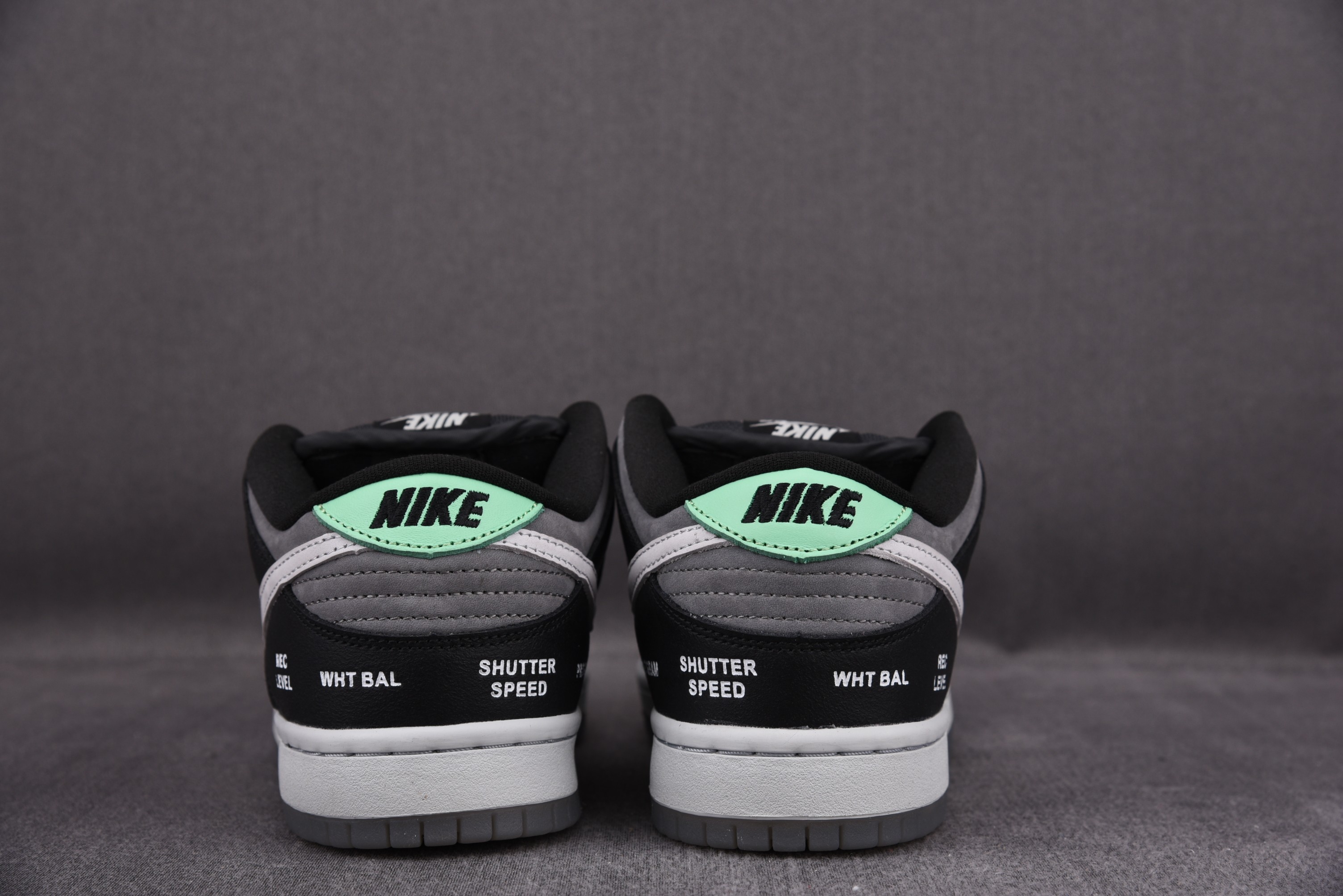 Nike SB Dunk Low Camcorder VX1000