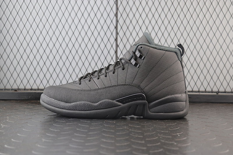 Air Jordan 12 Winterized