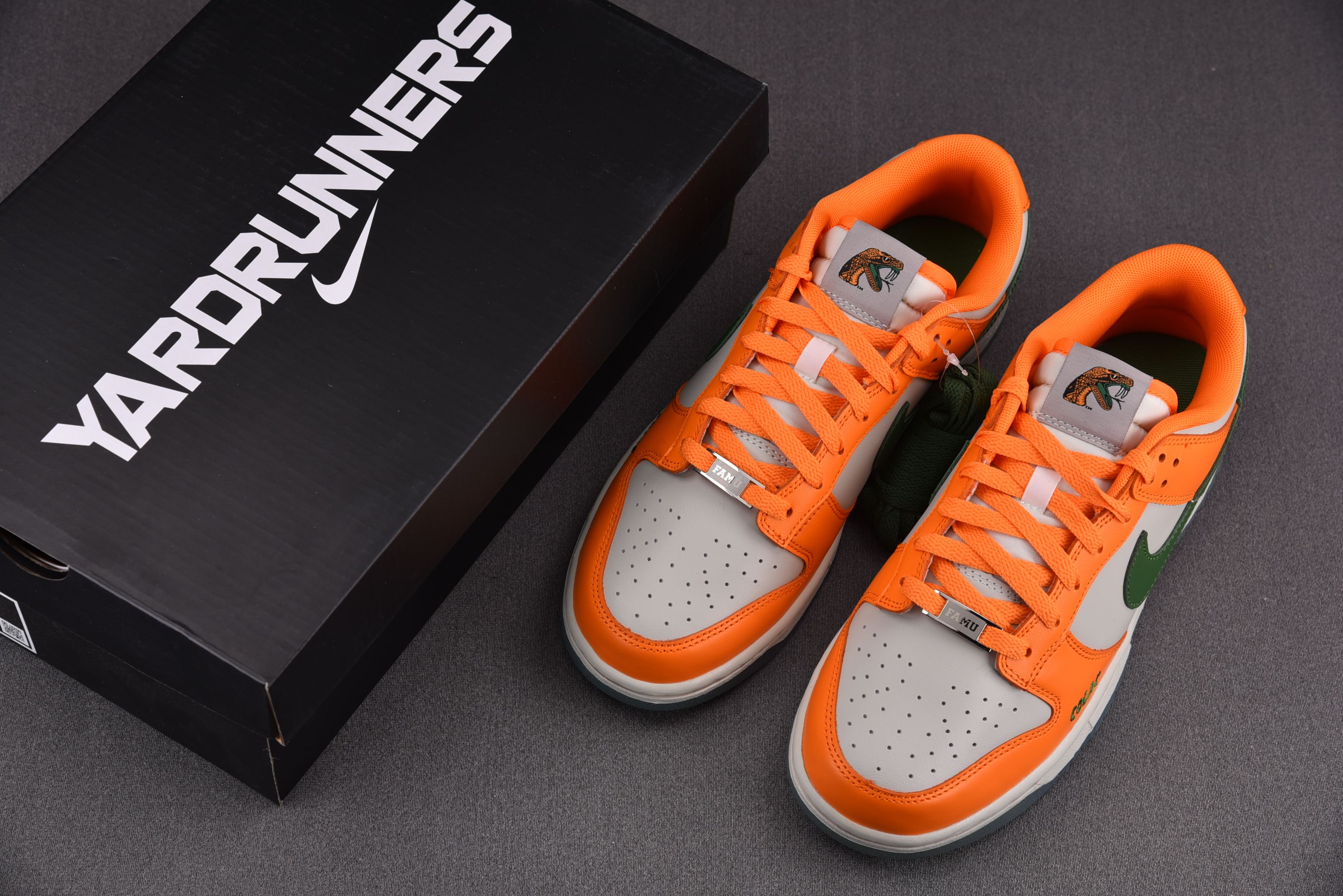 Nike Dunk Low Florida A&M University