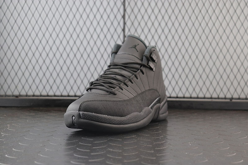Air Jordan 12 Winterized