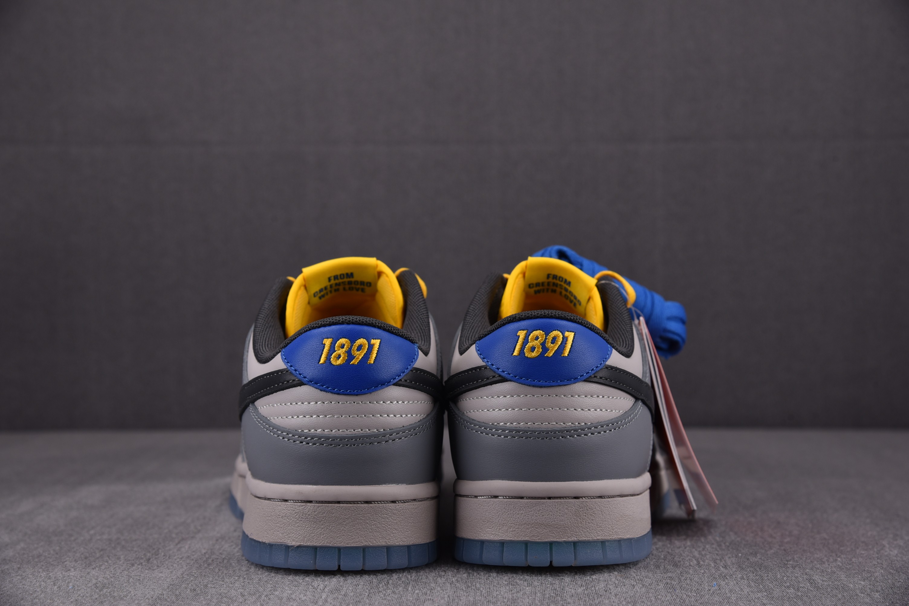 Nike Dunk Low North Carolina A&T