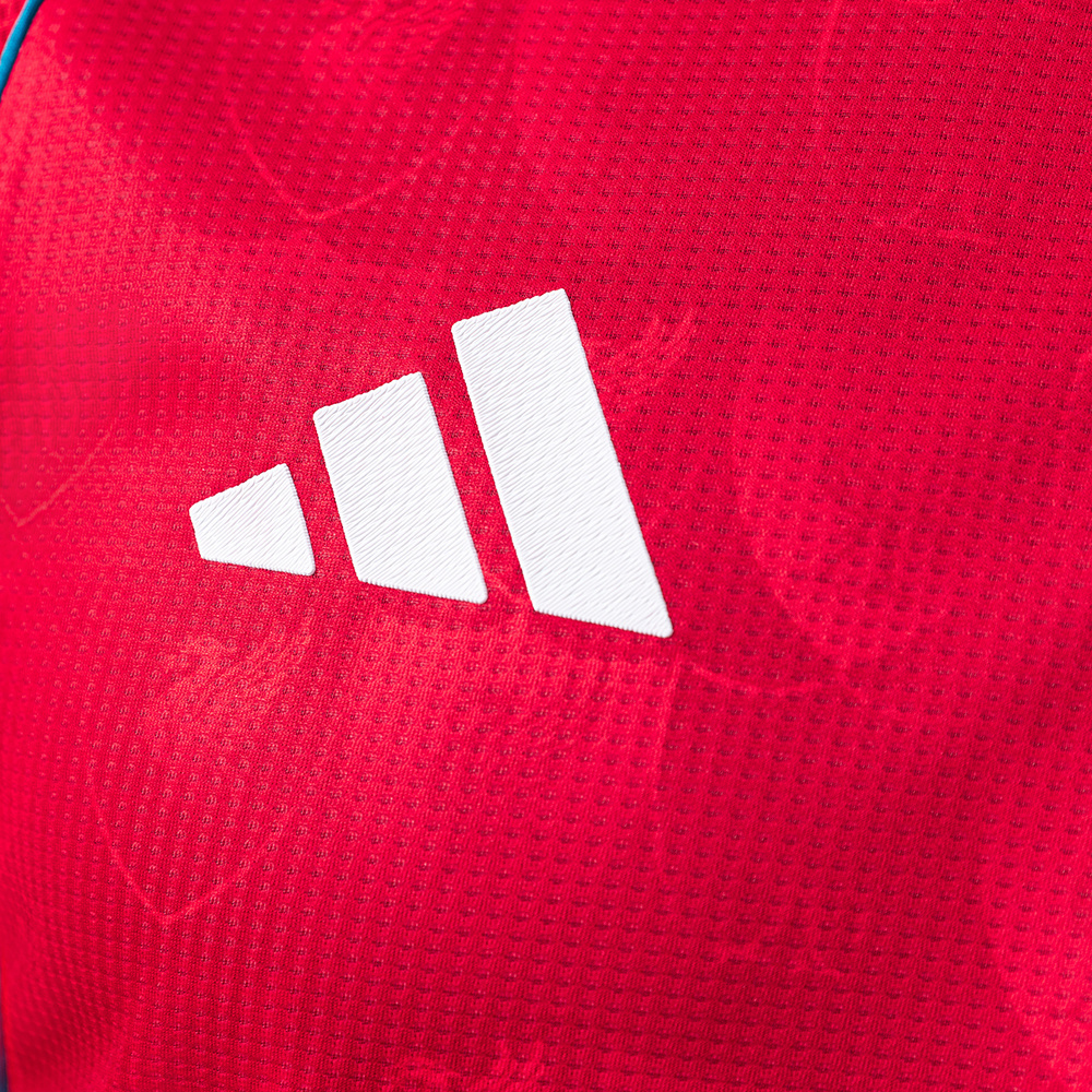 Liverpool 25/26 Team Logo Totem Special Edition Retro Player Version Jersey – Vintage Replica Football Soccer Shirt – S–3XL