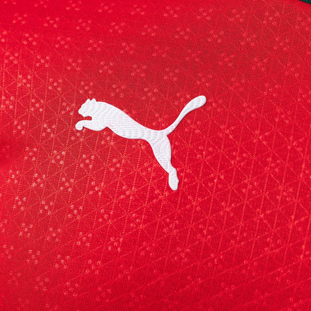 Portugal 2025 Home Long Sleeve Player Version Jersey – Replica Football Soccer Shirt – S–3XL