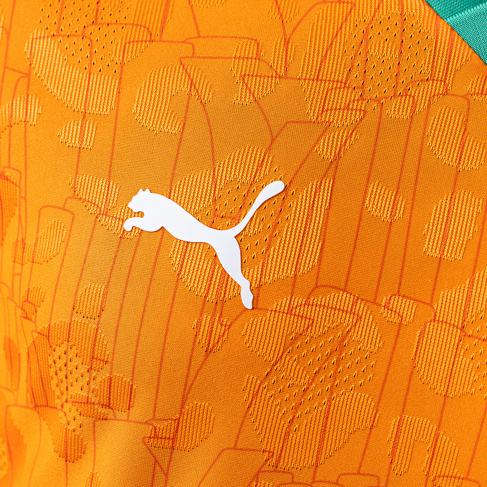 Ivory Coast 2025 Home Player Version Jersey – Replica Football Soccer Shirt – S–3XL