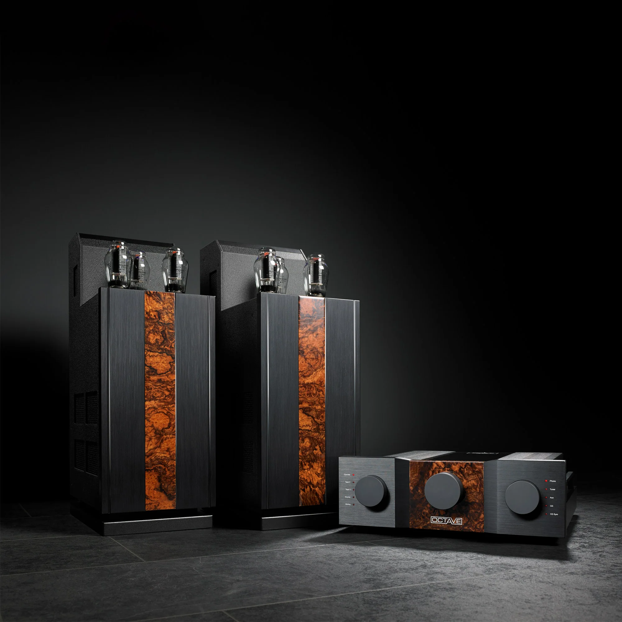 Octave Jubilee 300 B Power Amplifier Pair - GreshamTech