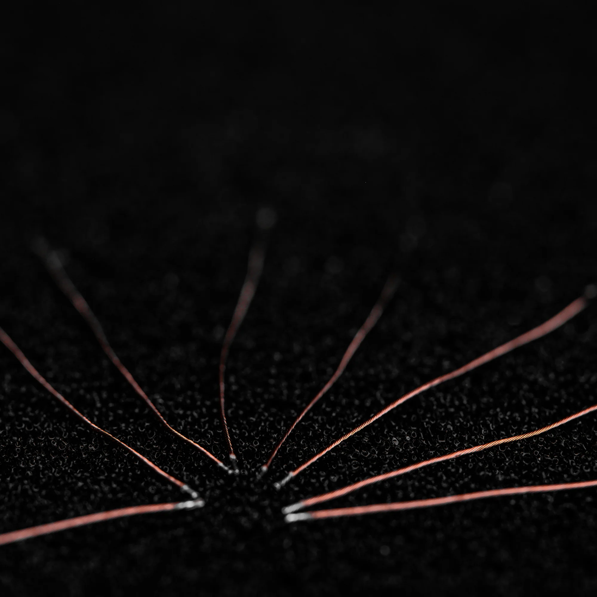 DUNU SA6 EST In-Ear Earphones - GreshamTech