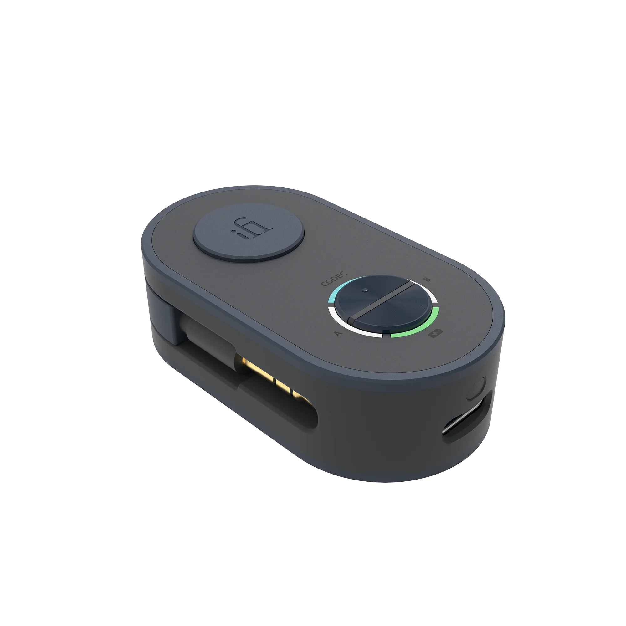 iFi UP Bluetooth Travel Companion - GreshamTech