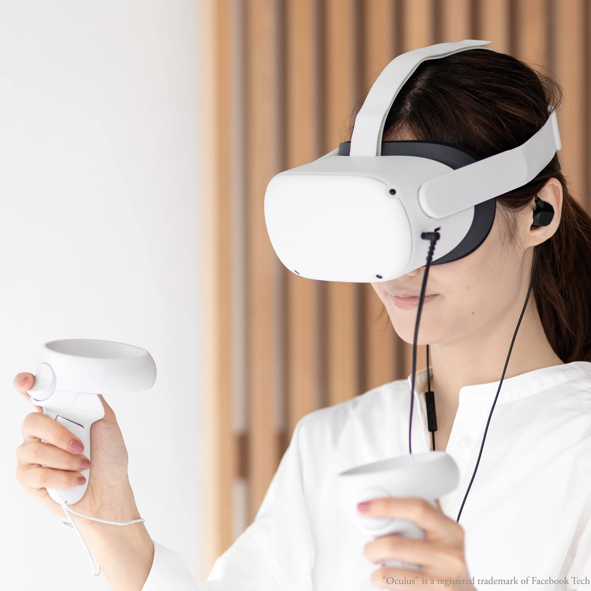 Final Audio VR3000 In-Ear Earphones - GreshamTech