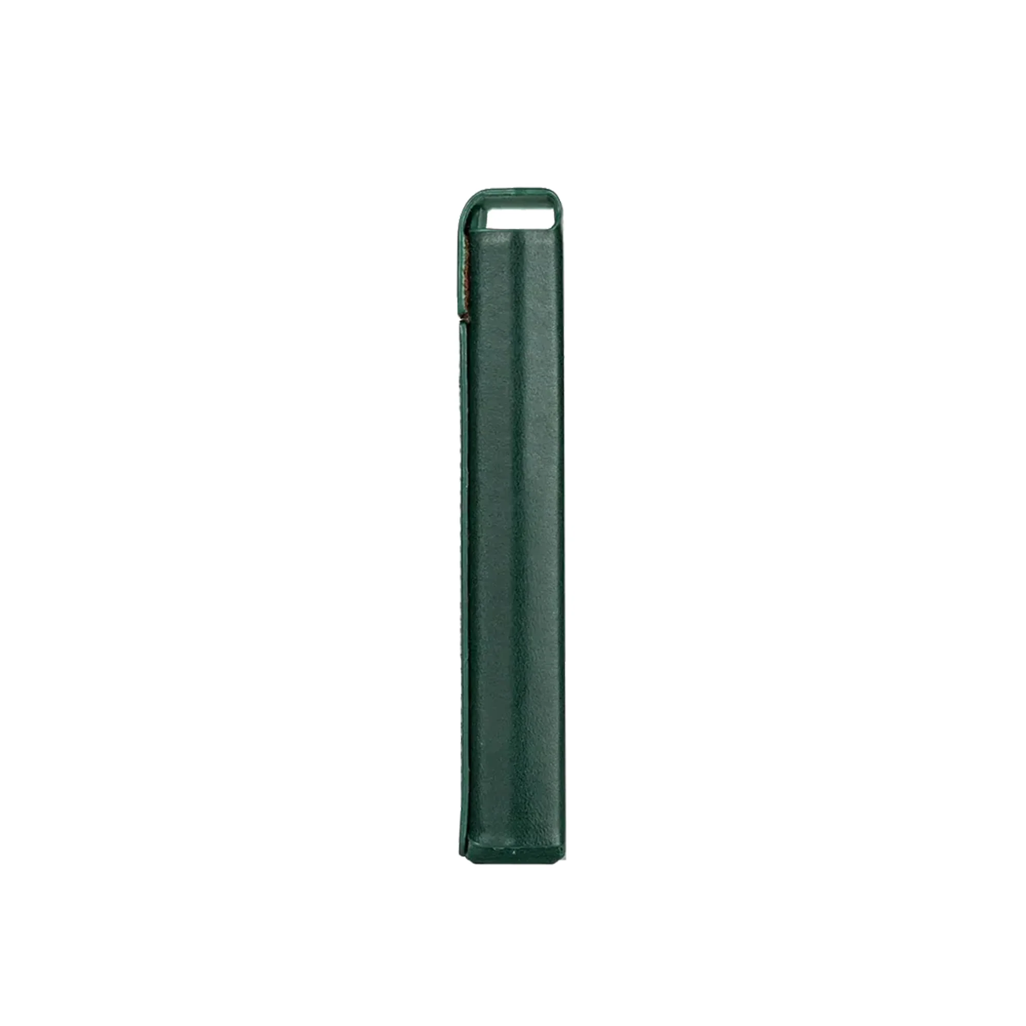 HiBy RS6 Green Leather Case - GreshamTech