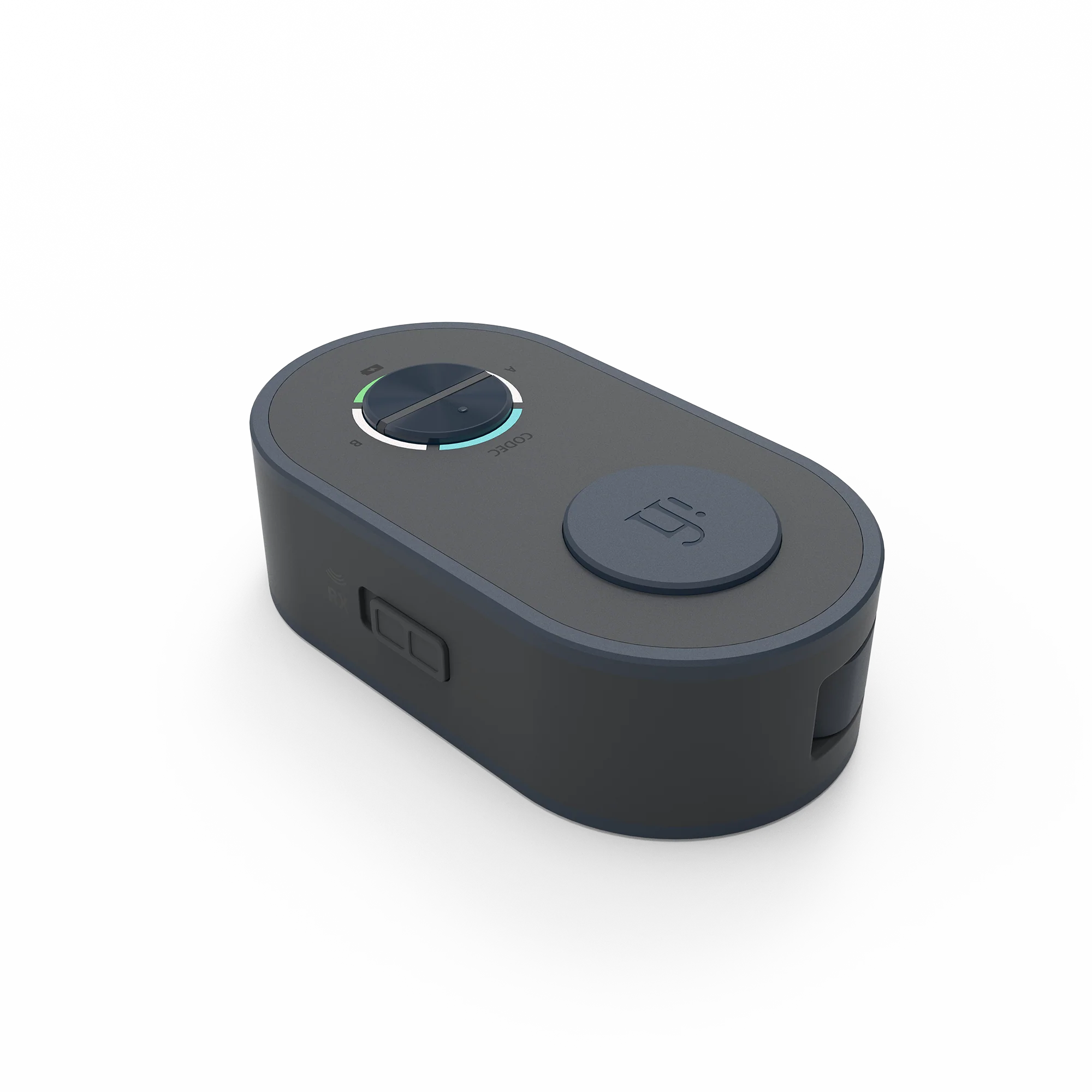 iFi UP Bluetooth Travel Companion - GreshamTech