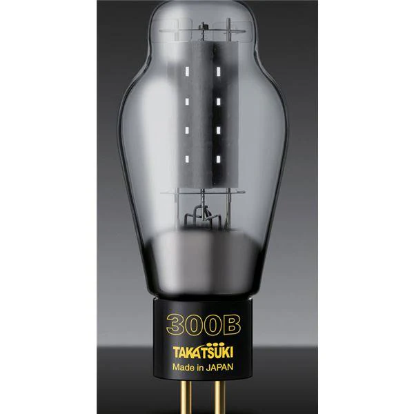 Takatsuki TA-300B Reference Vacuum Tubes (1 Pair) - GreshamTech