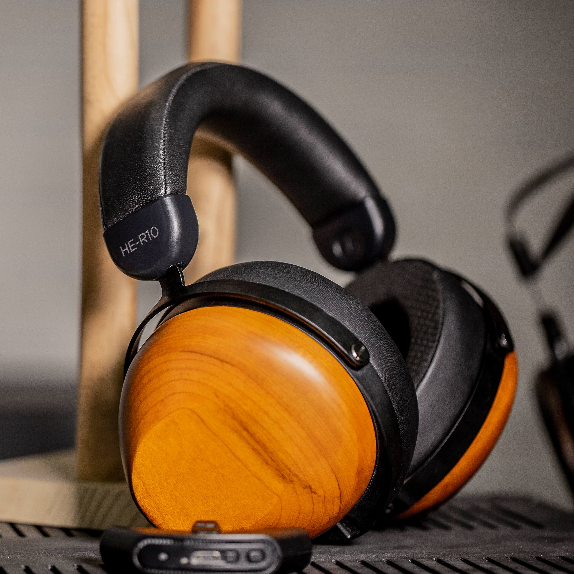 HIFIMAN HE-R10P Closed-Back Planar Magnetic Headphones - GreshamTech