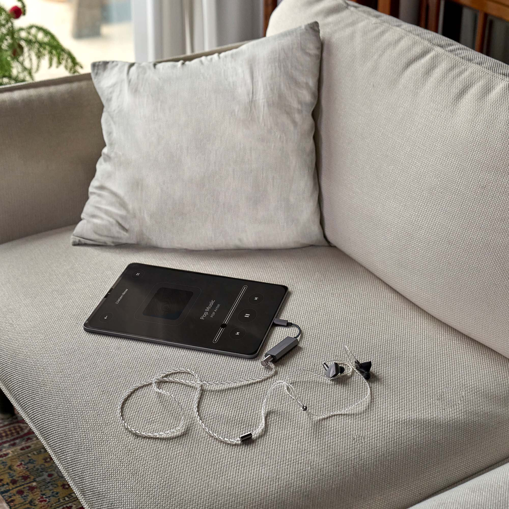 Astell&Kern AK HC2 USB-C Dual DAC Cable - GreshamTech