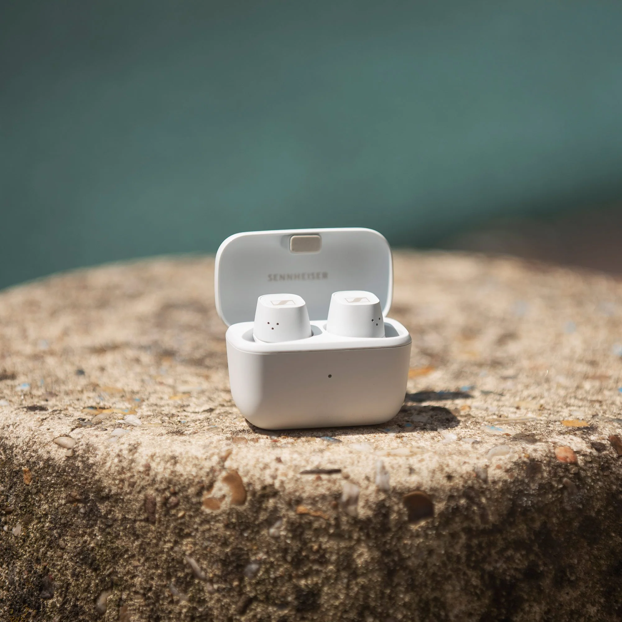 Sennheiser CX Plus True Wireless Earphones - GreshamTech