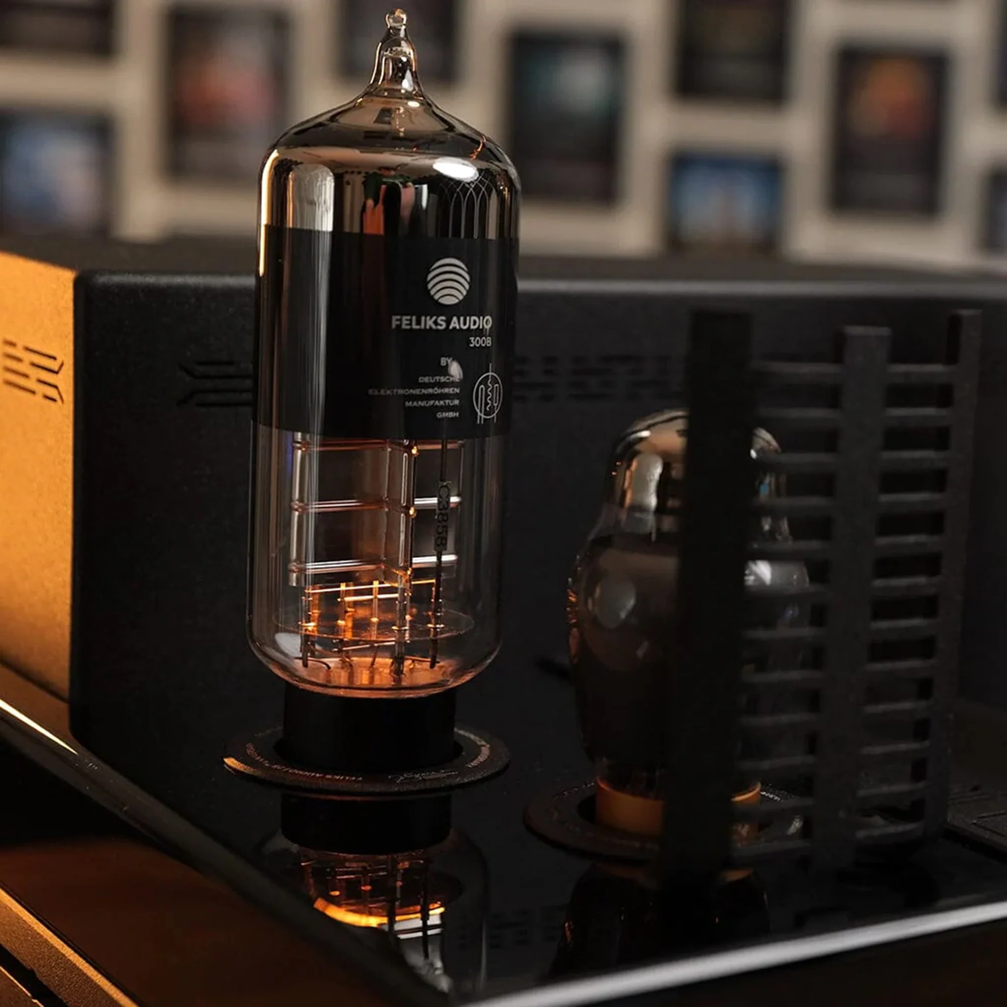 Feliks Audio Envy 25th Anniversary Tube Amplifier (Limited Special Edition) - GreshamTech