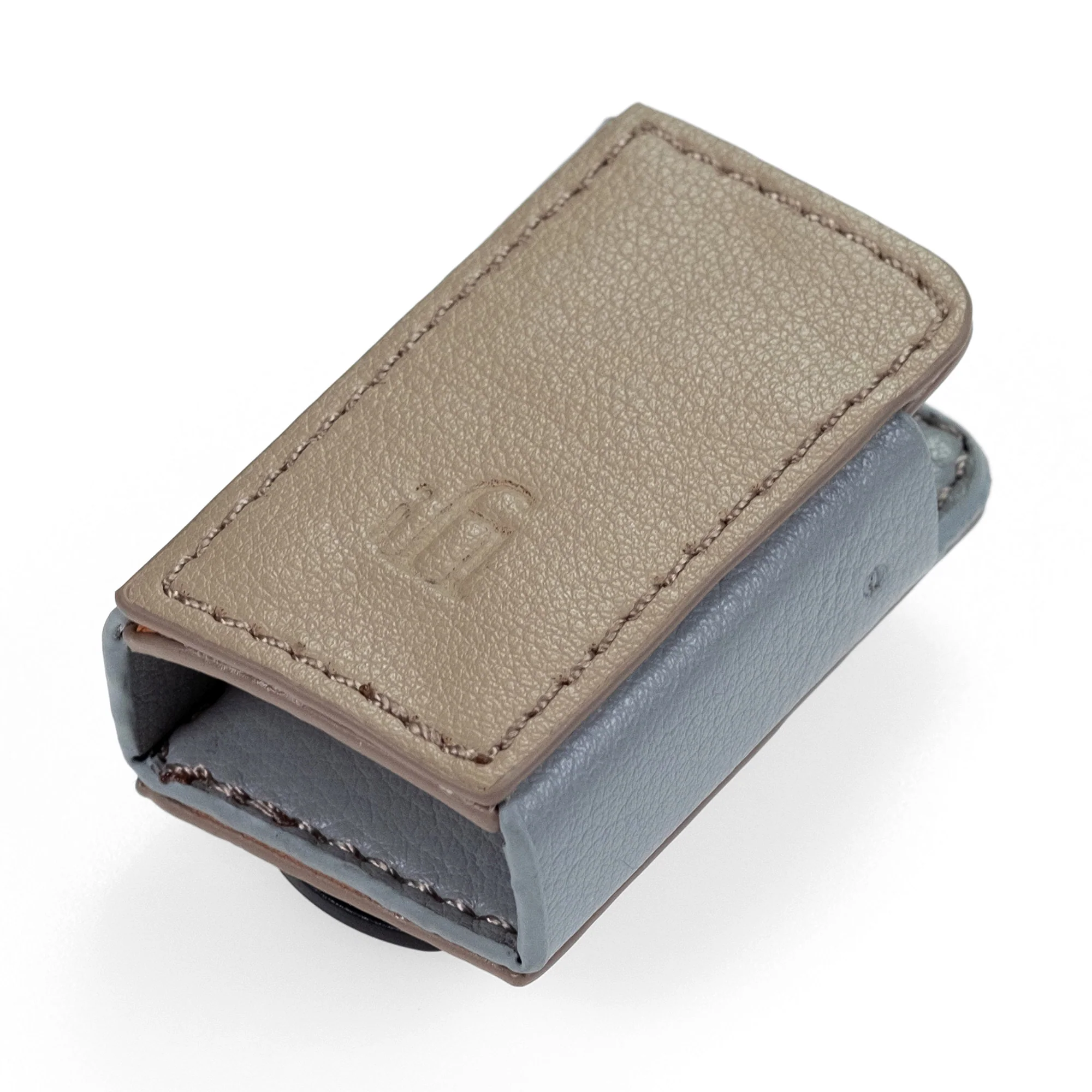 iFi audio GO blu Case - GreshamTech
