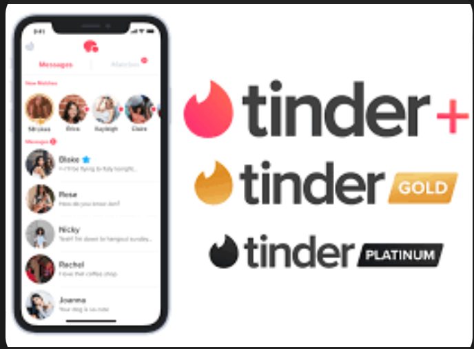 Tinder Platinum 6 Months license subscription social dating app iOS / Android - GreshamTech