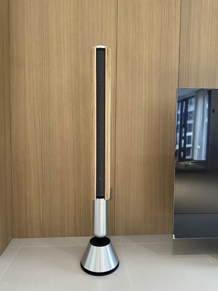 Bang & Olufsen Beosound Beolab 28 WiFi and Bluetooth Home Speaker New (Pair) - GreshamTech