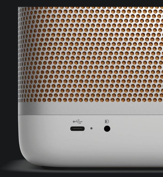 Bang & Olufsen Beosound Beolit 20 wireless Bluetooth Home Speaker New - GreshamTech