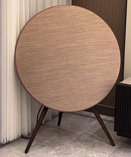 Bang & Olufsen Beosound A9 (4th Generation) WiFi and Bluetooth Speaker Like New - GreshamTech
