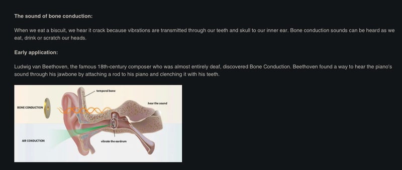 Unique Melody Mason Fabled Sound FS high-end Earphones High fedility IEM New - GreshamTech