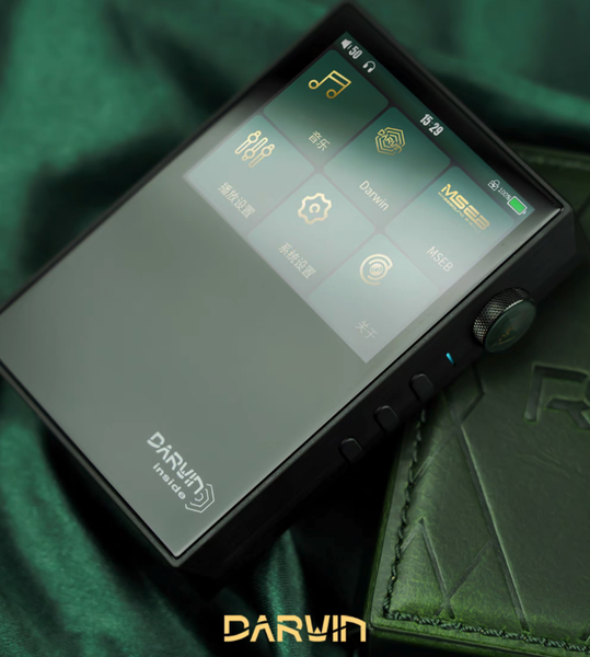 Hiby RS2 R2R DAC Chip Digital Audio Player High fidelity Brand New - GreshamTech