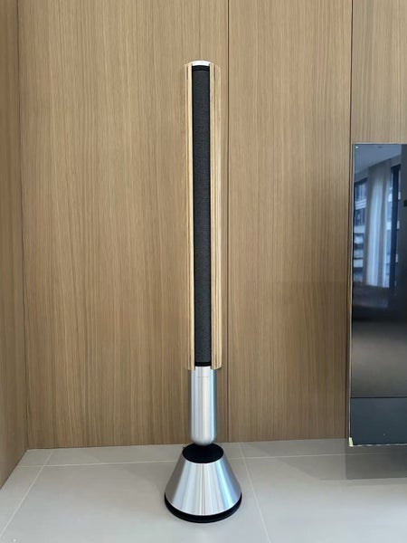 Bang & Olufsen Beosound Beolab 28 WiFi and Bluetooth Home Speaker New (Pair) - GreshamTech