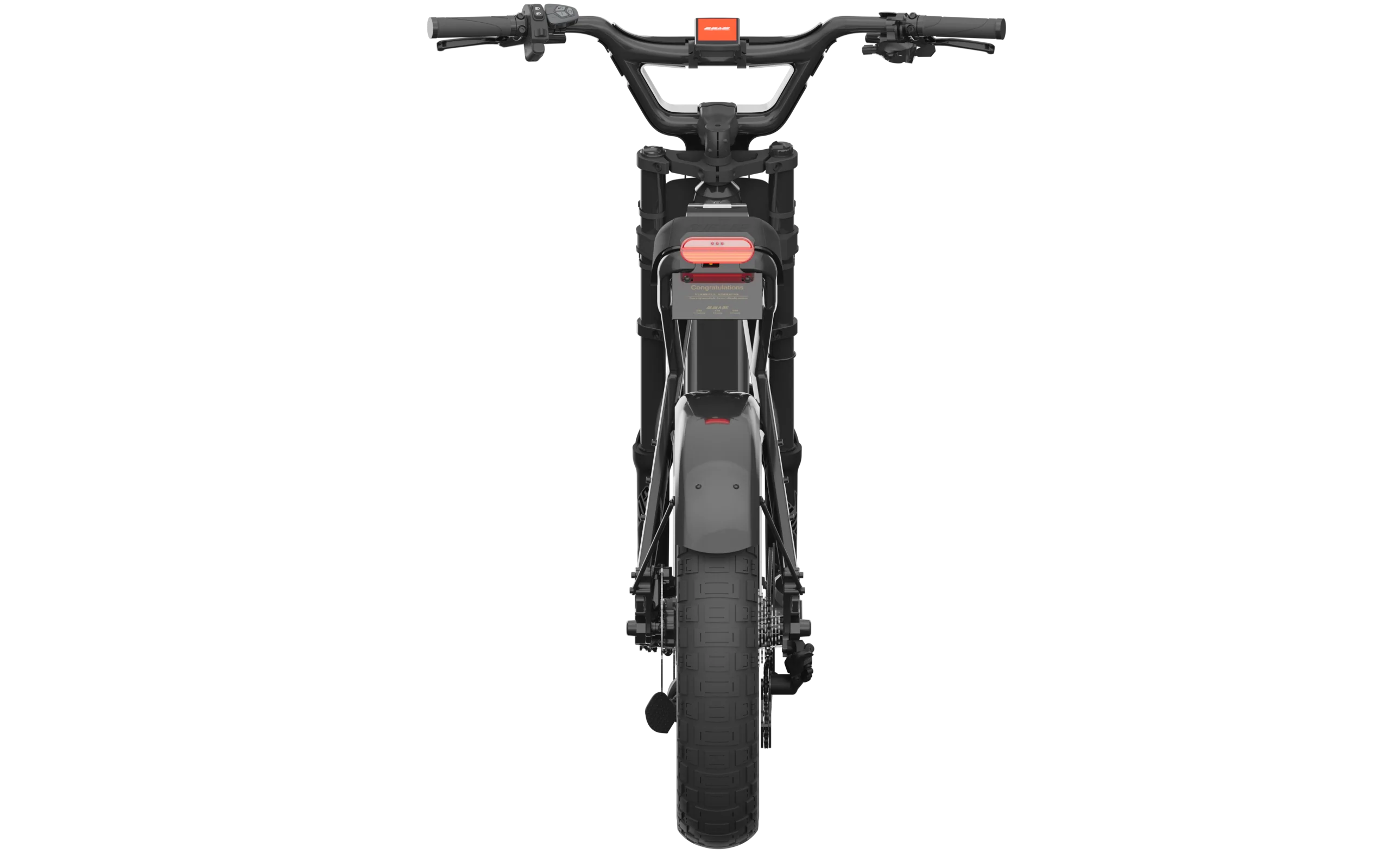 BLULANS C5 Fully carbon fiber E-Bike High End - GreshamTech