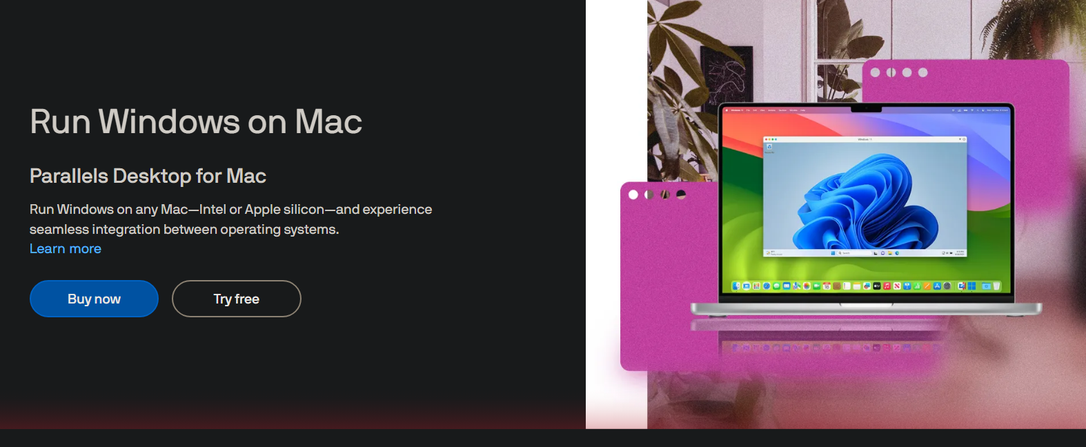 Parallels Desktop 26 for mac forever license ( Genuine ) software - GreshamTech