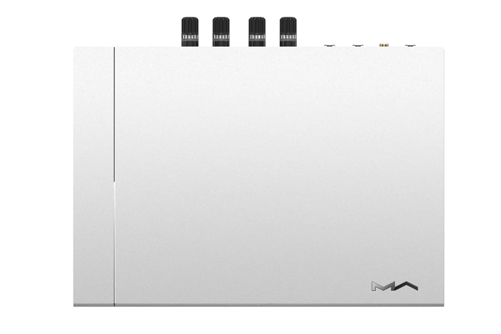 MATRIX Element P2 Speaker Amplifier - GreshamTech