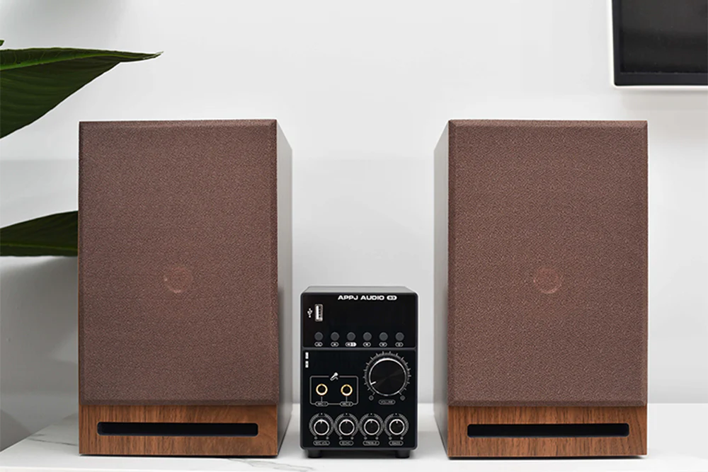 APPJ AUDIO S3 Speaker Amplifier - GreshamTech