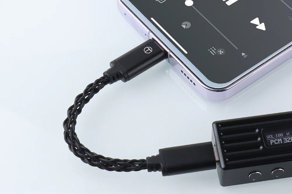 TRN TO Type-C to Type C Upgrade Cable - GreshamTech