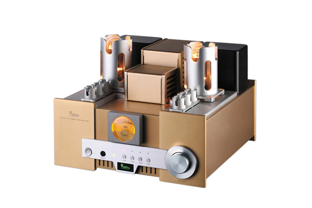 YAQIN MS650B 845 Tube Speaker Amplifier - GreshamTech