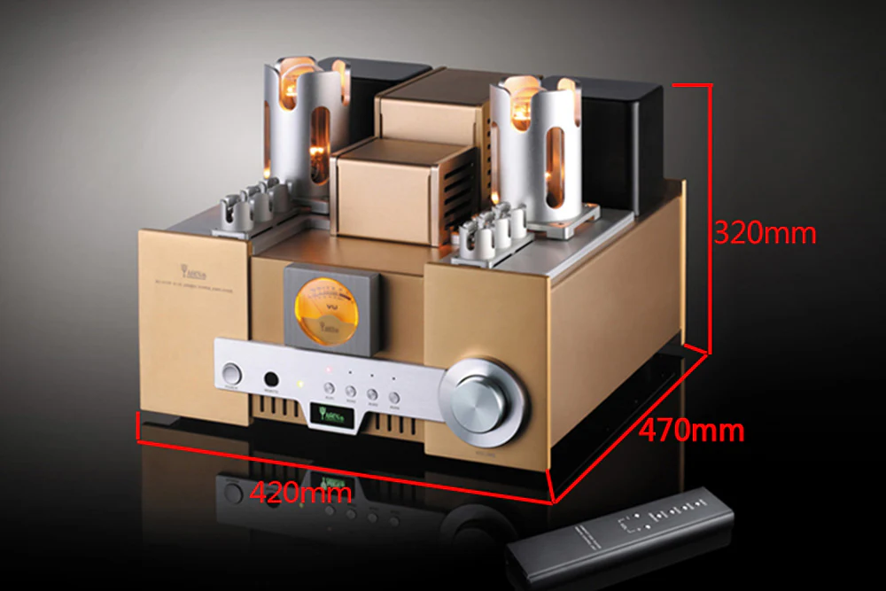 YAQIN MS650B 845 Tube Speaker Amplifier - GreshamTech