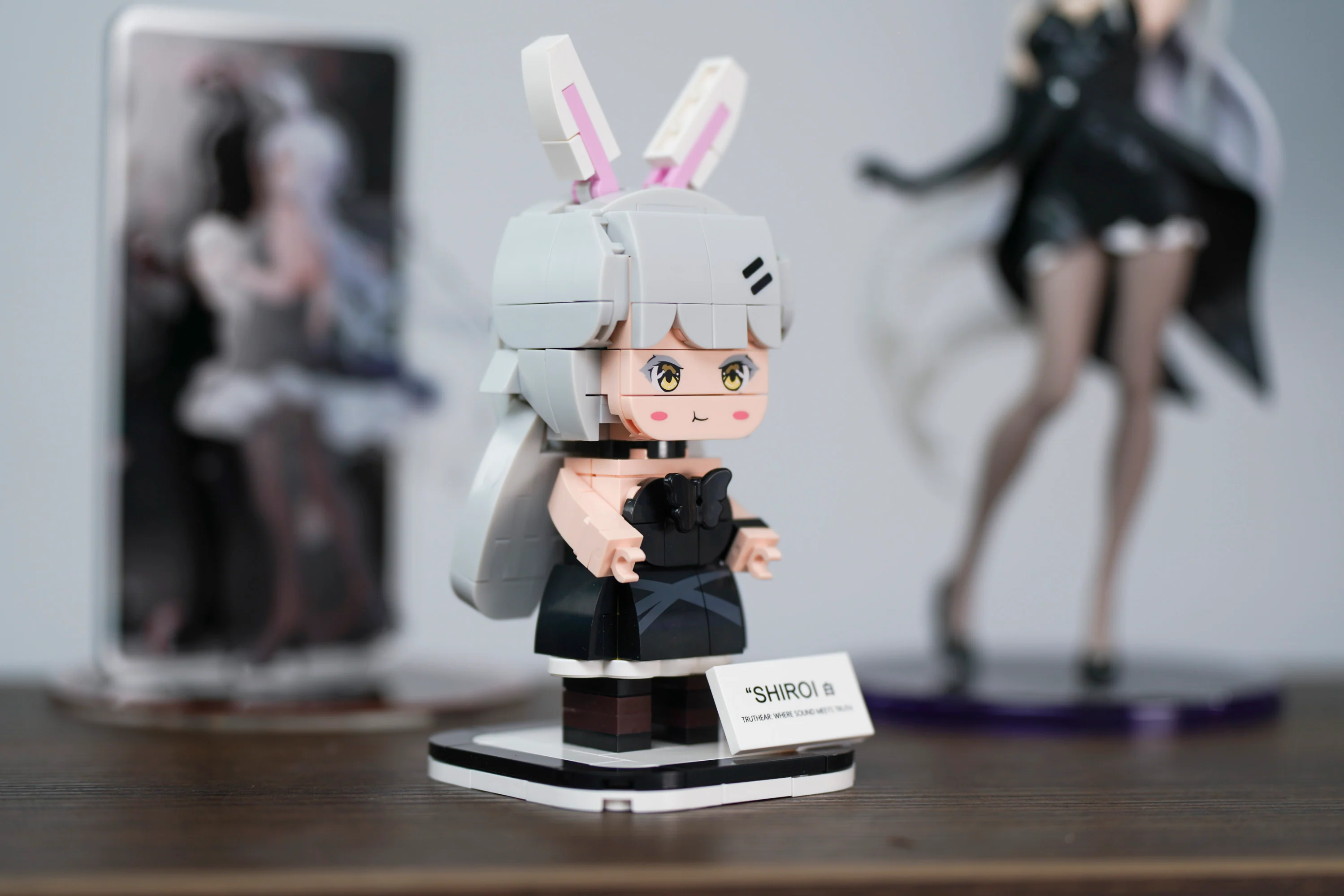 TRUTHEAR SHIROI Toy Bricks - GreshamTech