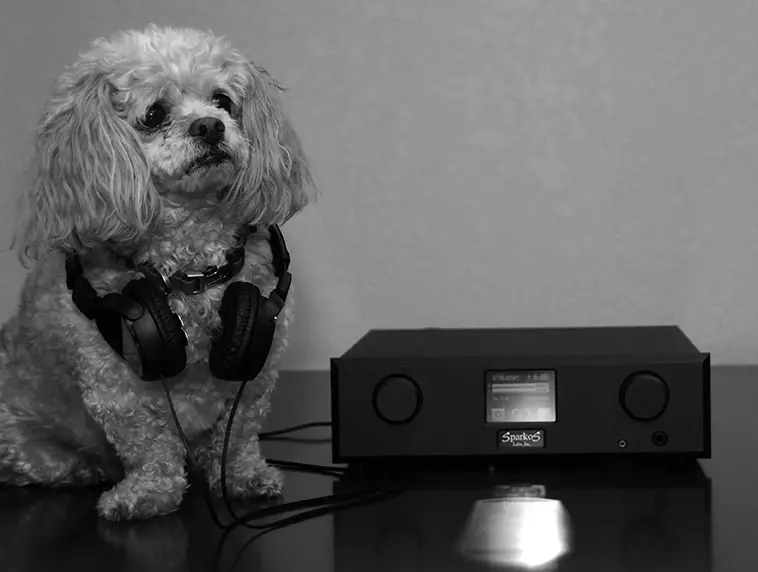 Sparkos Labs Aries - GreshamTech