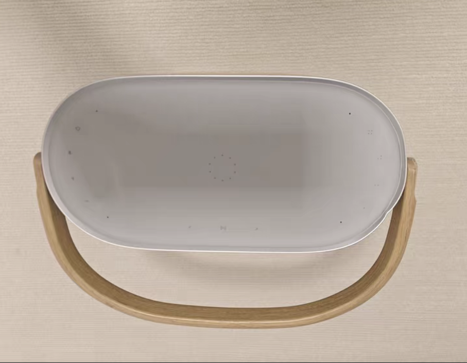 Bang & Olufsen Beosound A5 wireless WiFi and Bluetooth Home Speaker Like new - GreshamTech