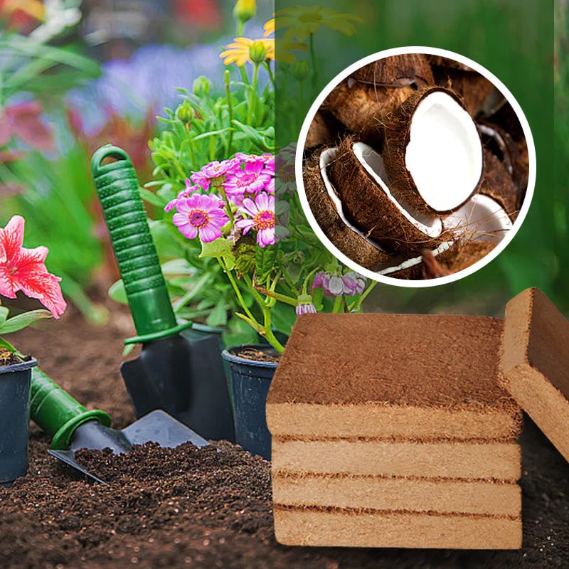 ✨ - Organic Coconut Coir for Plants