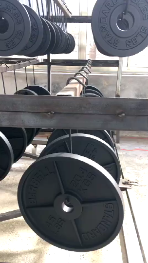 Professional Top Quality Free Weights Strength Training Weight Lifting Black Cast Iron Weight Plates for Gym Club