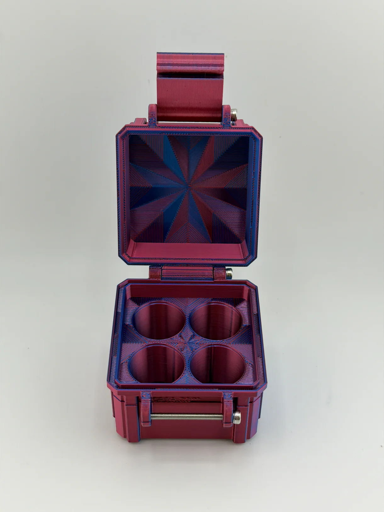 Blemished Vial Cases | 3ml/5ml/10ml | Functional Collapsible Organizer